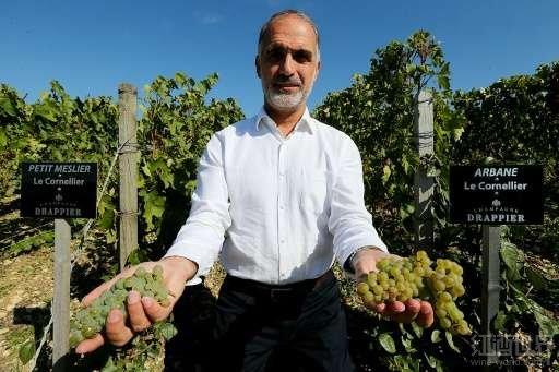 ȫ�������ů��ϡ����������ӭ������