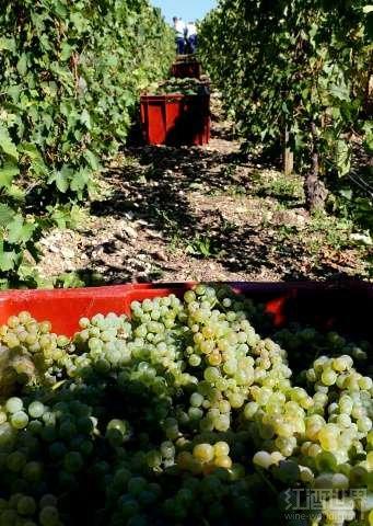 ȫ�������ů��ϡ����������ӭ������