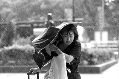 9��28�գ�̨������ð�ŷ���������»��緢