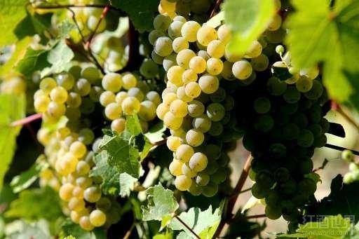 ȫ�������ů��ϡ����������ӭ������