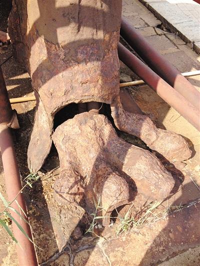 狮子的四肢都已残损,仅存的左脚趾,也与整体分离。