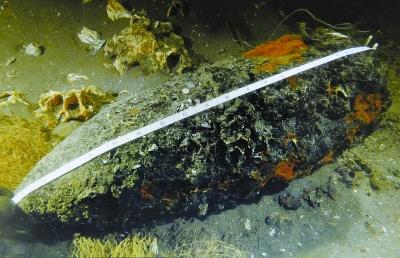 致远舰调查发布新成果 或对将士遗骸进行dna鉴别