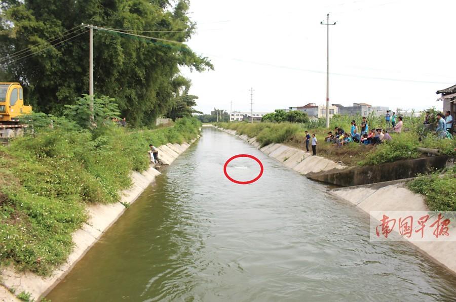 ���:С������ˮ����