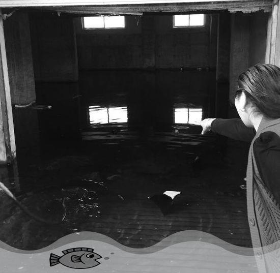 ����һС��7��¥��ˮ��5��