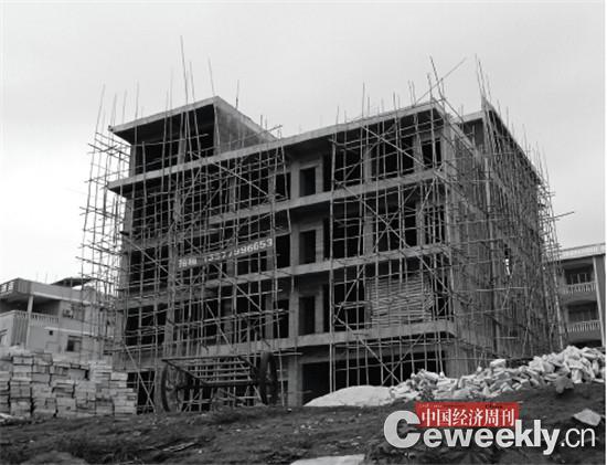 p34-1 涠洲岛陷入了无序和疯狂的违建之中。大量的耕地、林地被摧毁,香蕉地被推平,取而代之的是一栋栋拔地而起的违建高楼,房子的混乱和密集程度前所未见。《中国经济周刊》记者 郭芳 摄