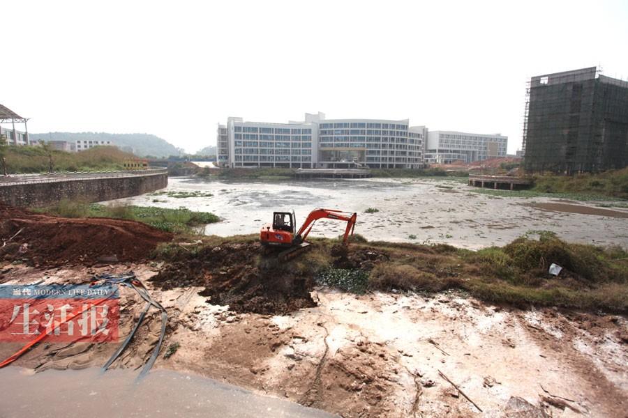 广西财经学院相思湖校区内湖污染很严重 臭气熏天