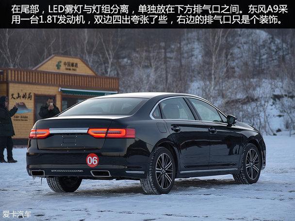 ���鶫��A9