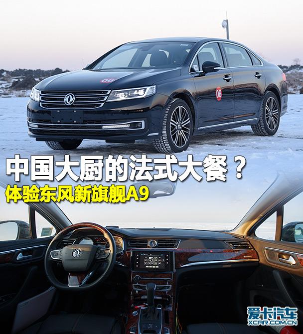 ���鶫��A9