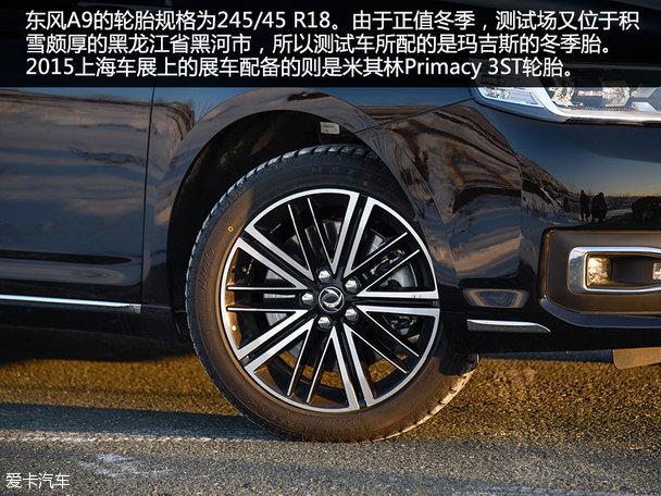 ���鶫��A9