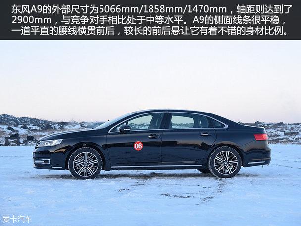 ���鶫��A9