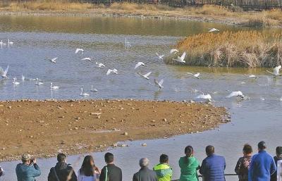 �����½����������Ͽ �ټ���ЩС����ȵ�10��