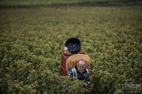 ר�Ҹ����㣬2014��ݵĲ��޵����Ѿƺò��ã�