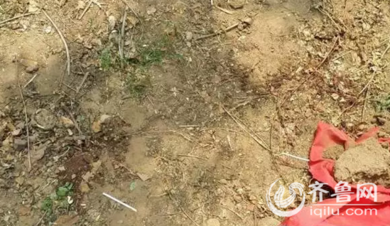 案发的小树林,小树林位于两个村庄的中间,位置偏僻,周围杂草丛生,几条