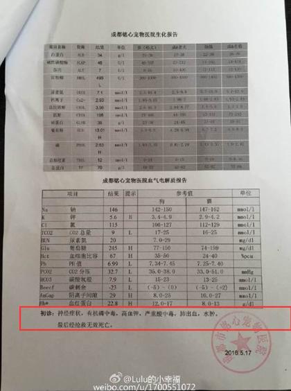 小区4天5条狗离奇死亡 狗主人怀疑有人投毒(图)