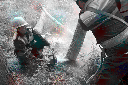 铁路其实很脆弱 一只风筝曾让京广线停运51分钟