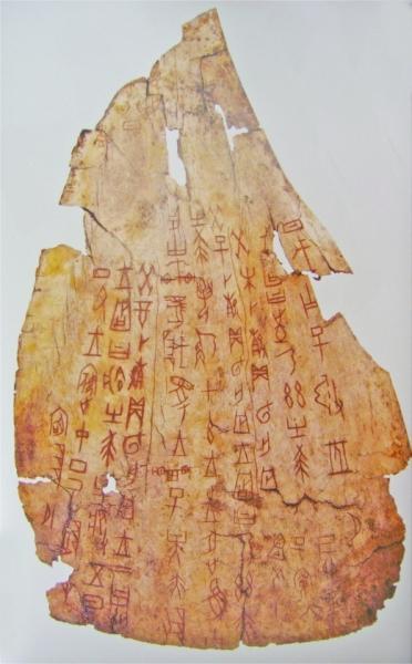 �׹�ѧ�߹����겻������ �������ƽ��ͨ��û���� 