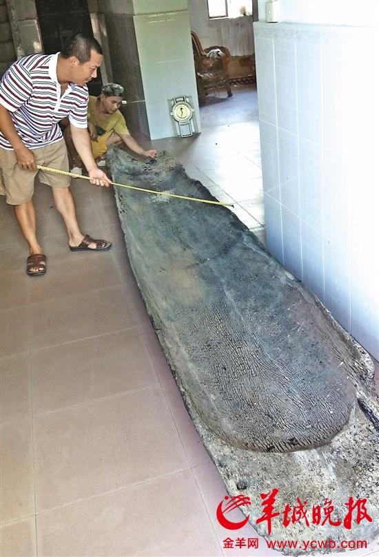 �Զ�ľ���۽��в���