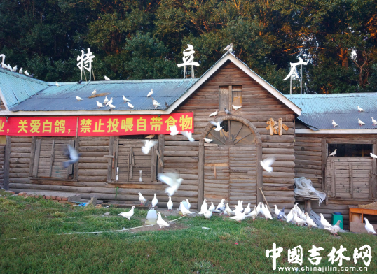 �ذ��׸룬��ֹͶι�Դ�ʳ��