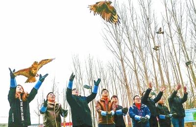 河南积极行动保护野生鸟类 32只获救护鸟儿重回蓝天