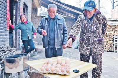 郏县农户家中母鸡产下“超级”鸡蛋 重达208克