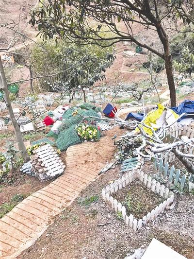 成都一宠物公墓变废墟 宠物主人怒怼负责人(图)