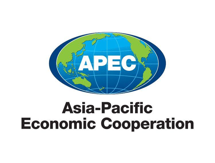 国内新闻     亚太经合组织(apec)第二十五次领导人非正式会议将于11