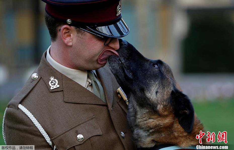 路透社2017网络热图出炉 网友们更钟爱这些画面