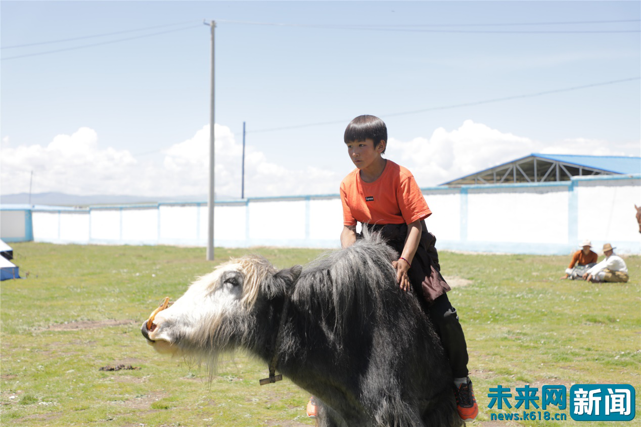 磨青稞打酥油 高原记录下东科日牧民"脱贫表情"
