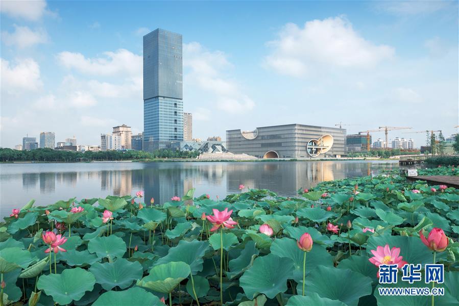上海嘉定城区景色(2017年6月14日摄).新华社发(嘉定区委供图)