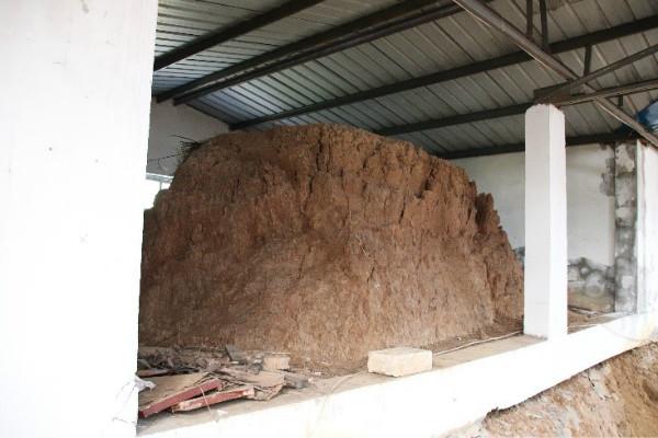 社会新闻  棚屋左侧保留了一部分原始封土,高约一米