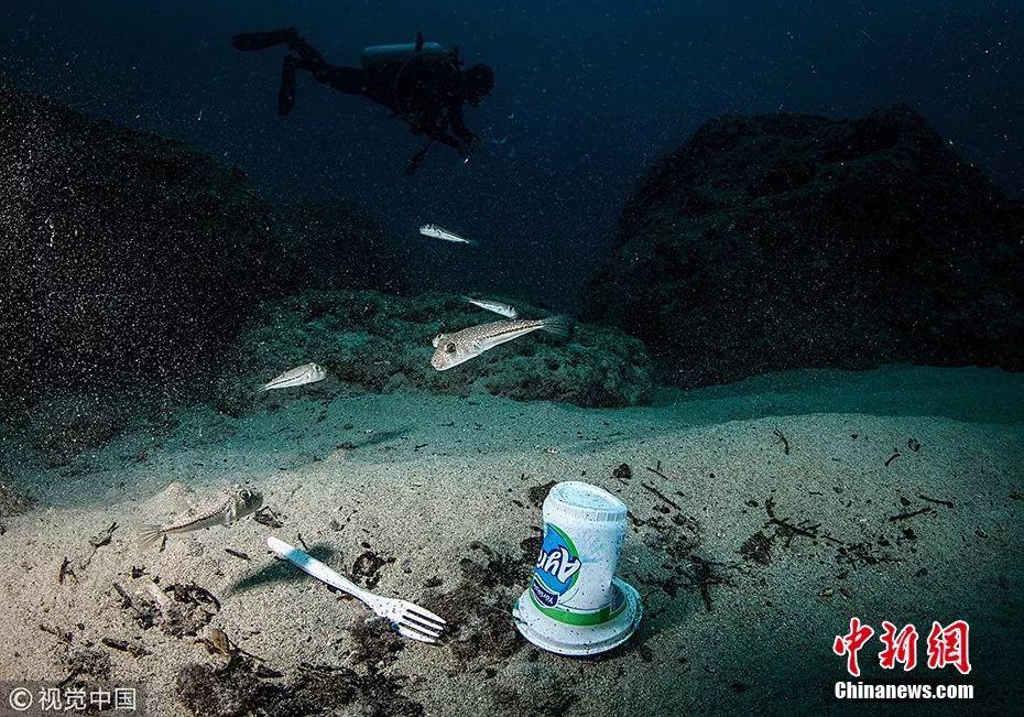 大海需要不塑之客海洋里这些画面触目惊心