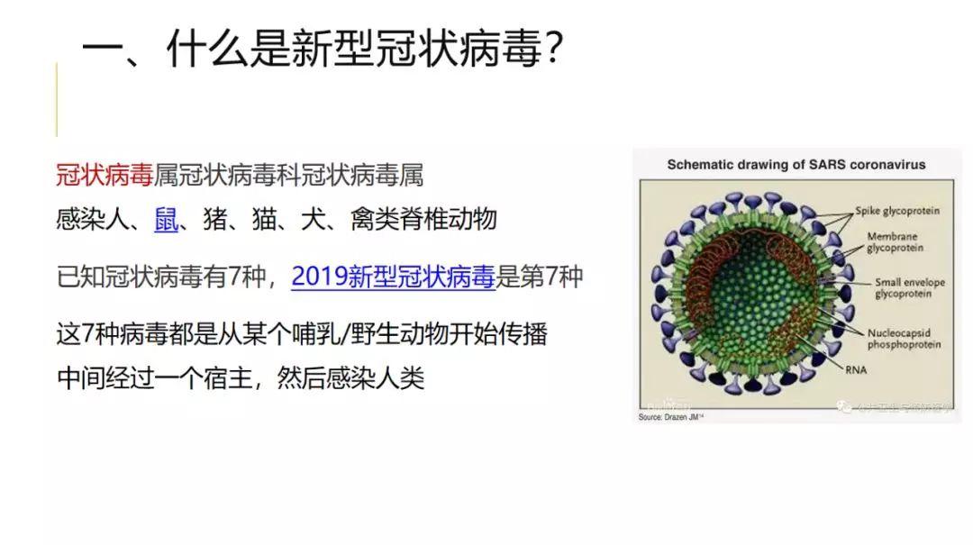 新型冠状病毒感染的肺炎防控知识手册