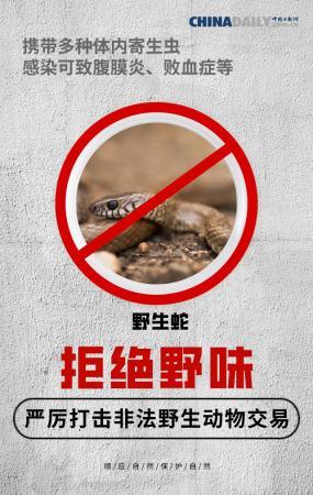 全面禁止非法野生动物交易刻不容缓