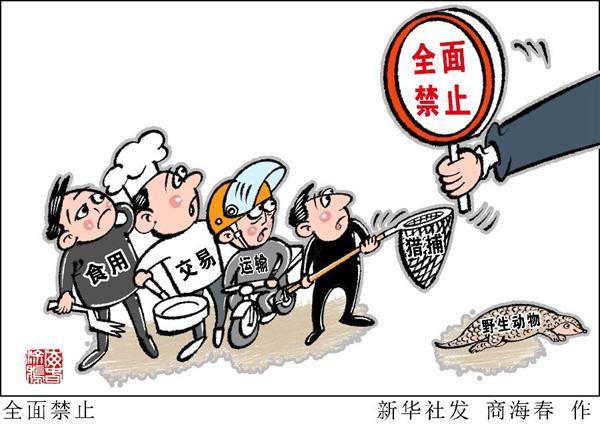 全面禁止非法野生动物交易革除滥食野生动物陋习