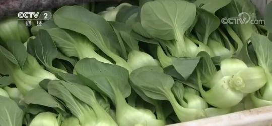 “菜篮”稳价稳价 | 北京市：免去4个市场批发进场交易费 提升蔬菜销售