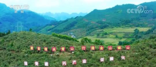 广西省充分发挥山林绿色生态优点 林果业特色农业推动农民创收实际效果显著