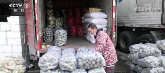 节前看消费 | 湖北武汉：各地蔬菜迎来丰收 供应量充足
