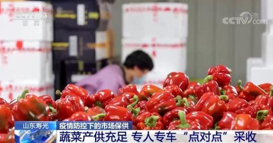 山东寿光：蔬菜产供充足 专人专车“点对点”采收