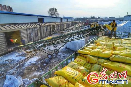 中国铁路沈阳局：全力保障肥料等关键物资运输通畅