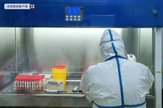 应急生产调度援助！上海市4座移动方舱病毒检测试验室交付使用