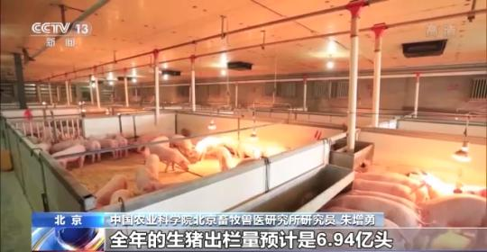 《中国农业展望报告》发布：今年蔬菜水果肉类供应总体有保障
