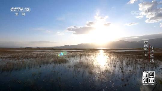新闻调查：中国这十年 守护湿地