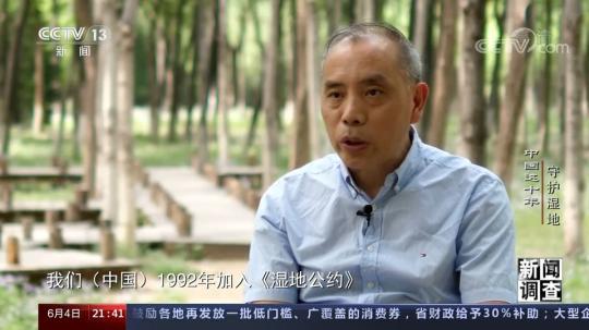 新闻调查：中国这十年 守护湿地