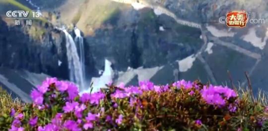 【美丽边疆行】走入吉林长白山竖直景观带 探索自然界创造的性命之美