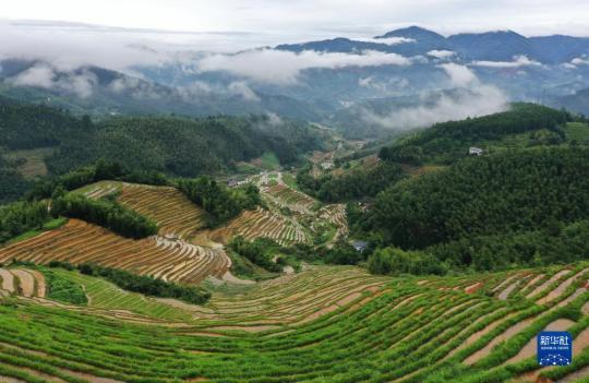 江西：描绘新时代改革发展新画卷