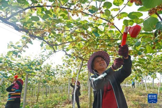 江西：描绘新时代改革发展新画卷