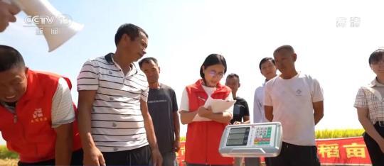 中国农民丰收节 | 金色稻浪滚滚 农民喜迎丰收