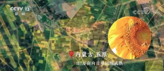 中國農民豐收節 | 衛星“瞰”豐收