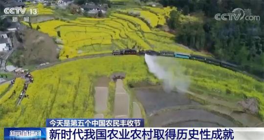 新时代我国农业农村取得历史性成就 农民生产生活水平上了一个大台阶