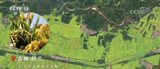 中國農民豐收節 | 衛星“瞰”豐收